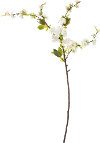 Magnolia Home Furniture Faux Cherry Blossom Branch for Arrangement