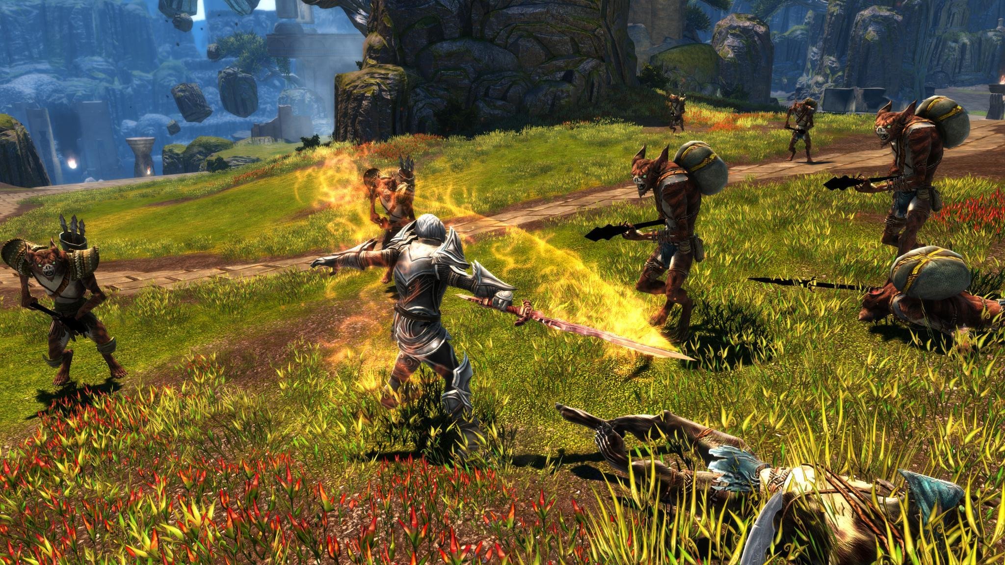PS4 NGI 02275 Kingdoms of Amalur Re-Reckoning - PS4-2