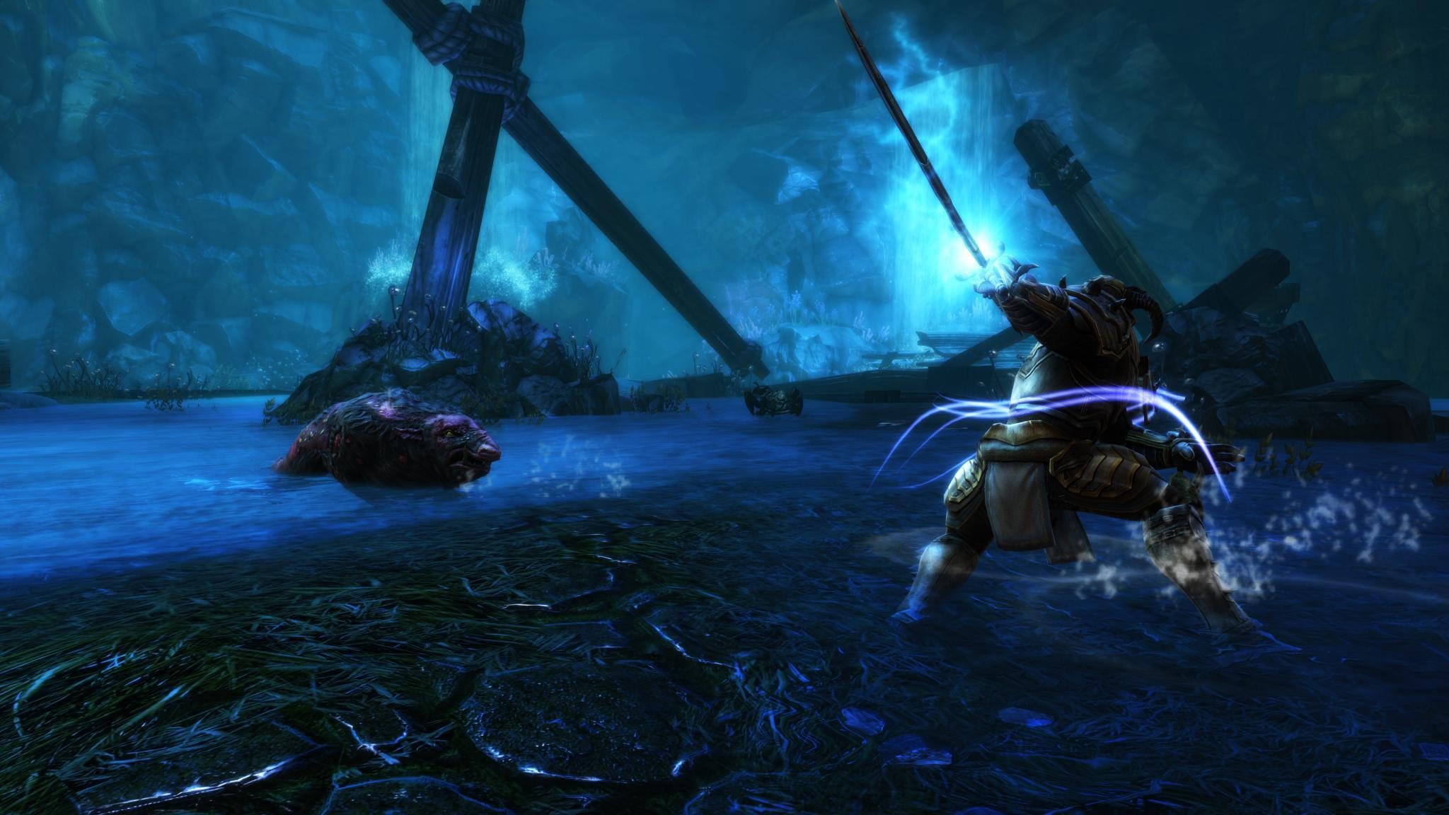 PS4 NGI 02275 Kingdoms of Amalur Re-Reckoning - PS4-4