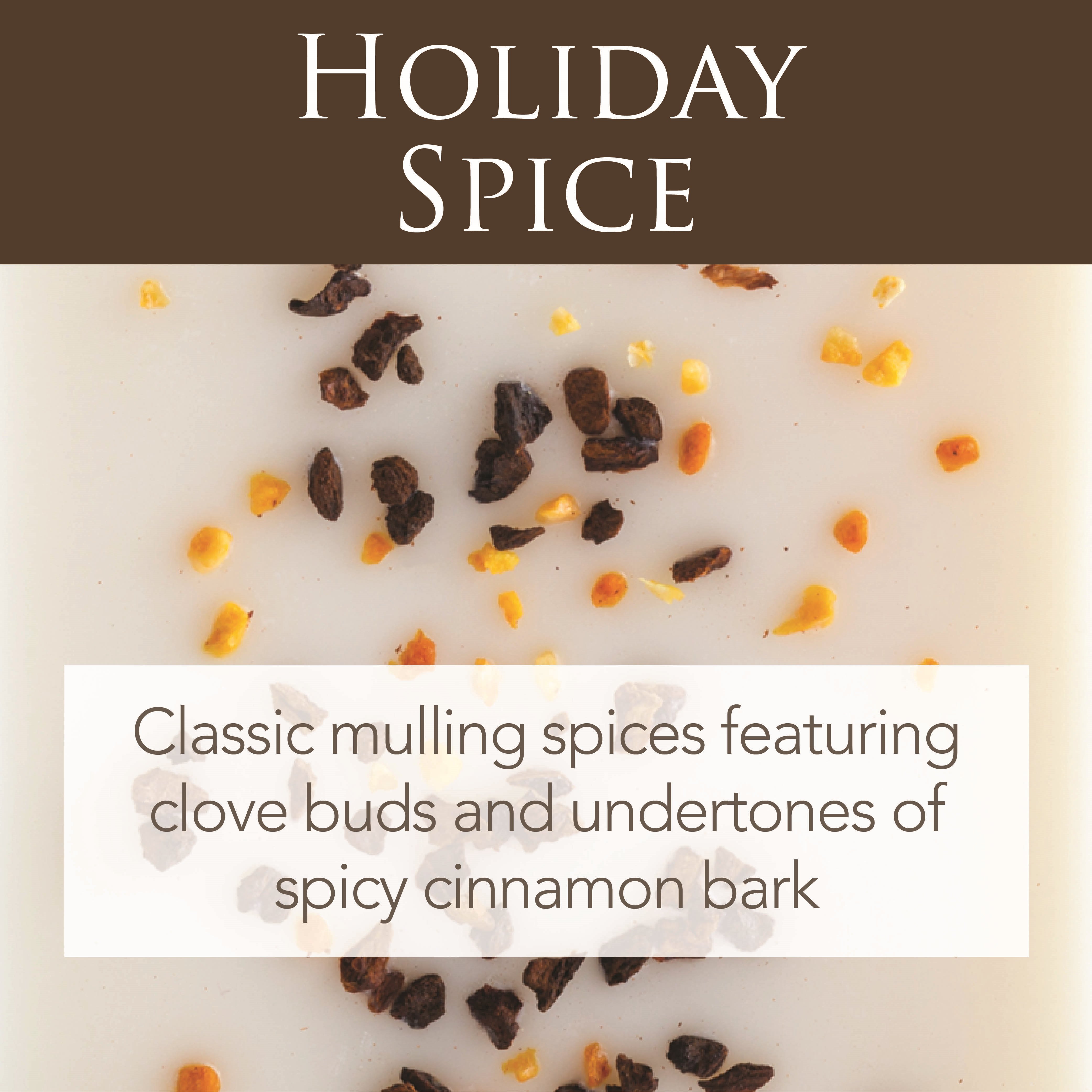 Holiday Spice 2.5oz Artisan Wax Melt-2