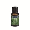 Festive Forest Airome 15ml Essential Oil - Candle Warmers