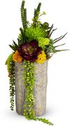 Multi Color Tree Trunk Succulent Arrangement