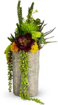 Multi Color Tree Trunk Succulent Arrangement