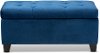 162-10459-RCW Contemporary Navy Blue Velvet Upholstered Storage Ottoman - Vonda