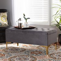 162-10462-RCW Glam Gray Velvet Upholstered Storage Ottoman - Gorden