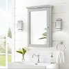 CF7005-GY Transitional Gray Mirrored Storage Wall Cabinet - Lydia
