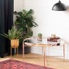 12881 Gold & Glass Coffee Table - Maliza