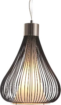 Black Wire Teardrop Ceiling Lamp - Interstellar