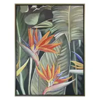 Birds of Paradise Multi Color Canvas Oil Painting with Frame