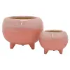 4 Inch Blush Pink Footed Planter
