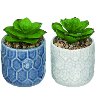 Assorted Faux Succulent Arrangement in Blue or White Ceramic Pot