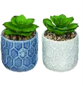 Assorted Faux Succulent Arrangement in Blue or White Ceramic Pot