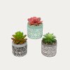 Assorted 3 Inch Potted Artificial Succulent Arrangement