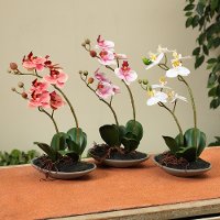 Assorted Faux Orchid Flower Arrangement in Container