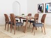 Mid Century Modern Walnut Brown Dining Room Chair (Set of 2) - Alberta