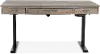 Trellis Desert Brown Sit-Stand Desk