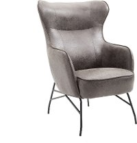 Franky Charcoal Gray Accent Chair