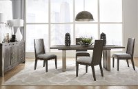 Modern Gray 5 Piece Dining Room Set - Plata
