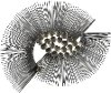 Gun Metal Gray Semi-Circle Wall Hanging