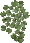 Green Leaf Metal Wall Decor