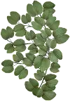 Green Leaf Metal Wall Decor