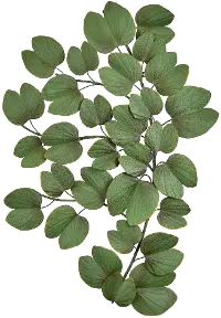 Green Leaf Metal Wall Decor