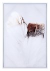 Multi Color Delicate Feather Canvas Wall Art