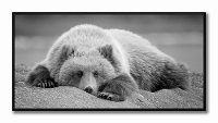 Black and White Bedroom Eyes Fine Art Print in Black Floater Frame-2