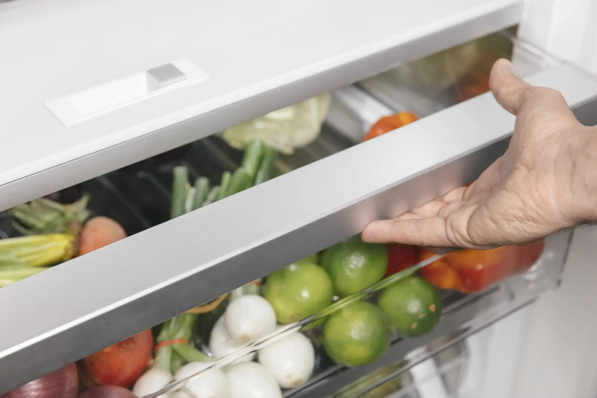 T30IR905SP Thermador 30 Inch Column Refrigerator - Panel Ready-6