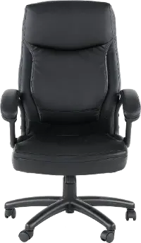 Black Executive Office Chair