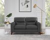 Contemporary Slate Gray Leather Loveseat - Miami