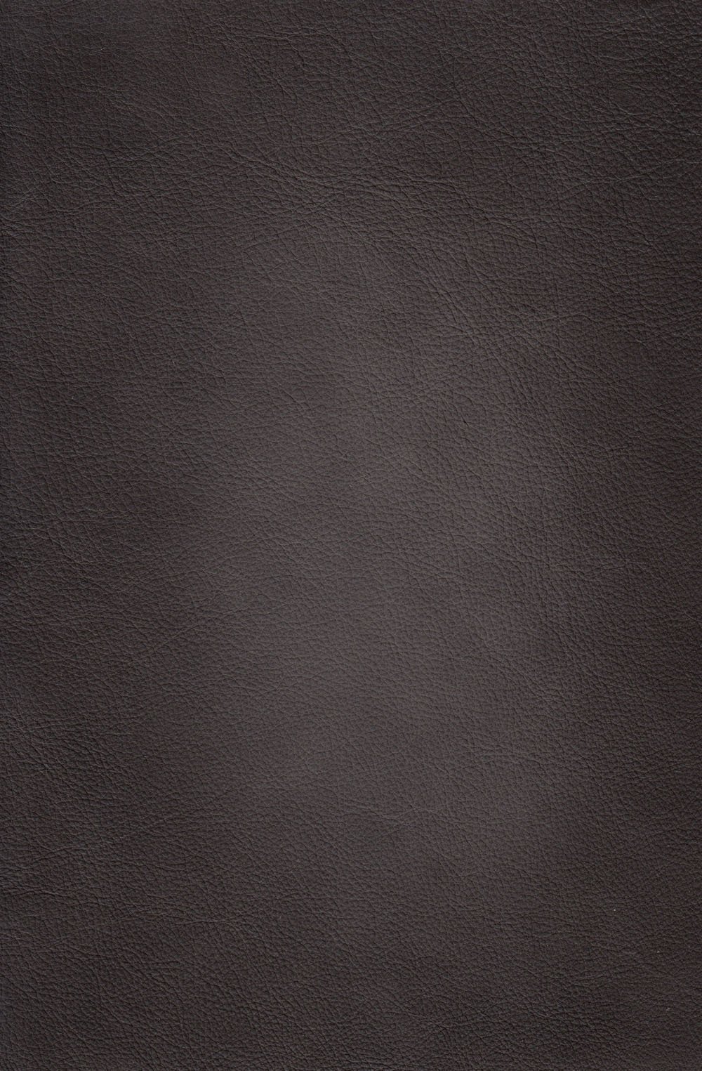 Ash Gray Leather Loveseat - Savannah-5