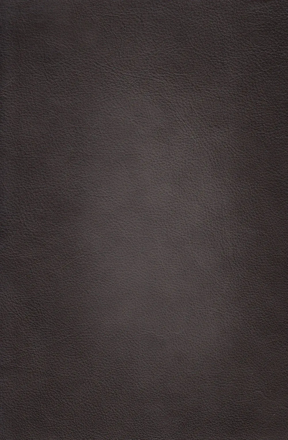 Savannah Ash Gray Leather Loveseat-5