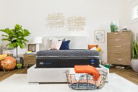 52335451 Sealy Plush Hybrid Queen Mattress - Silver Chill-4