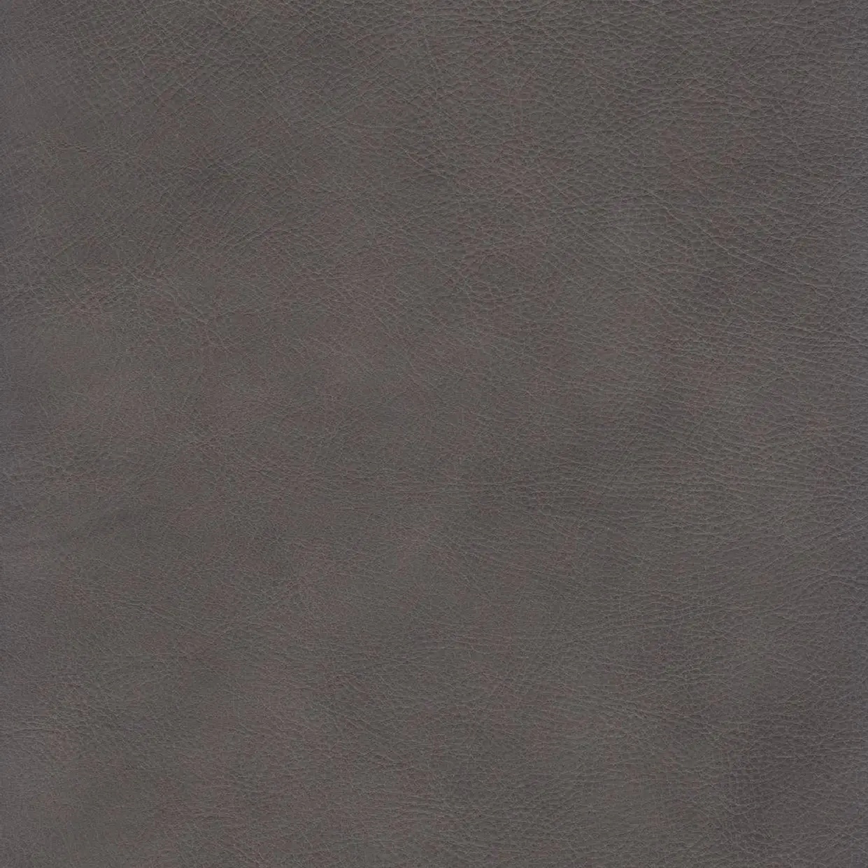 New Haven Contemporary Ash Gray Leather Chair-4