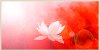 Lotus in Flames Framed Wall Art