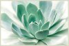 Zen Framed Wall Art
