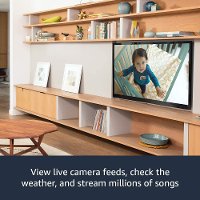 8400805649944 Amazon Fire TV Stick with TV Controls-6