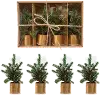 Faux Pine Tree Place Card Holders in Gold Pot (Boxed Set of 4)