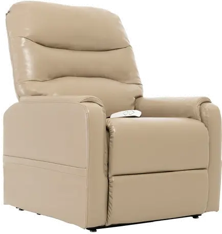 Contemporary Mushroom Beige Power Lift Recliner-1