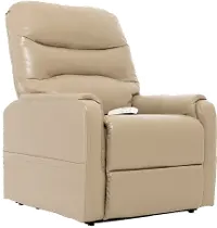 Contemporary Mushroom Beige Power Lift Recliner