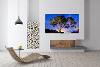 OLED77G1PUA LG 77 G1PUA Series OLED Evo Gallery 4K Smart TV-8