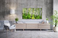 OLED65G1PUA LG 65 G1PUA Series OLED Evo Gallery 4K Smart TV-7