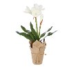 White 23 Inch Real Touch Potted Flower Arrangement