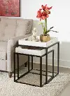 Merrimack White Wash Tray Top Nesting Tables - Set of 2
