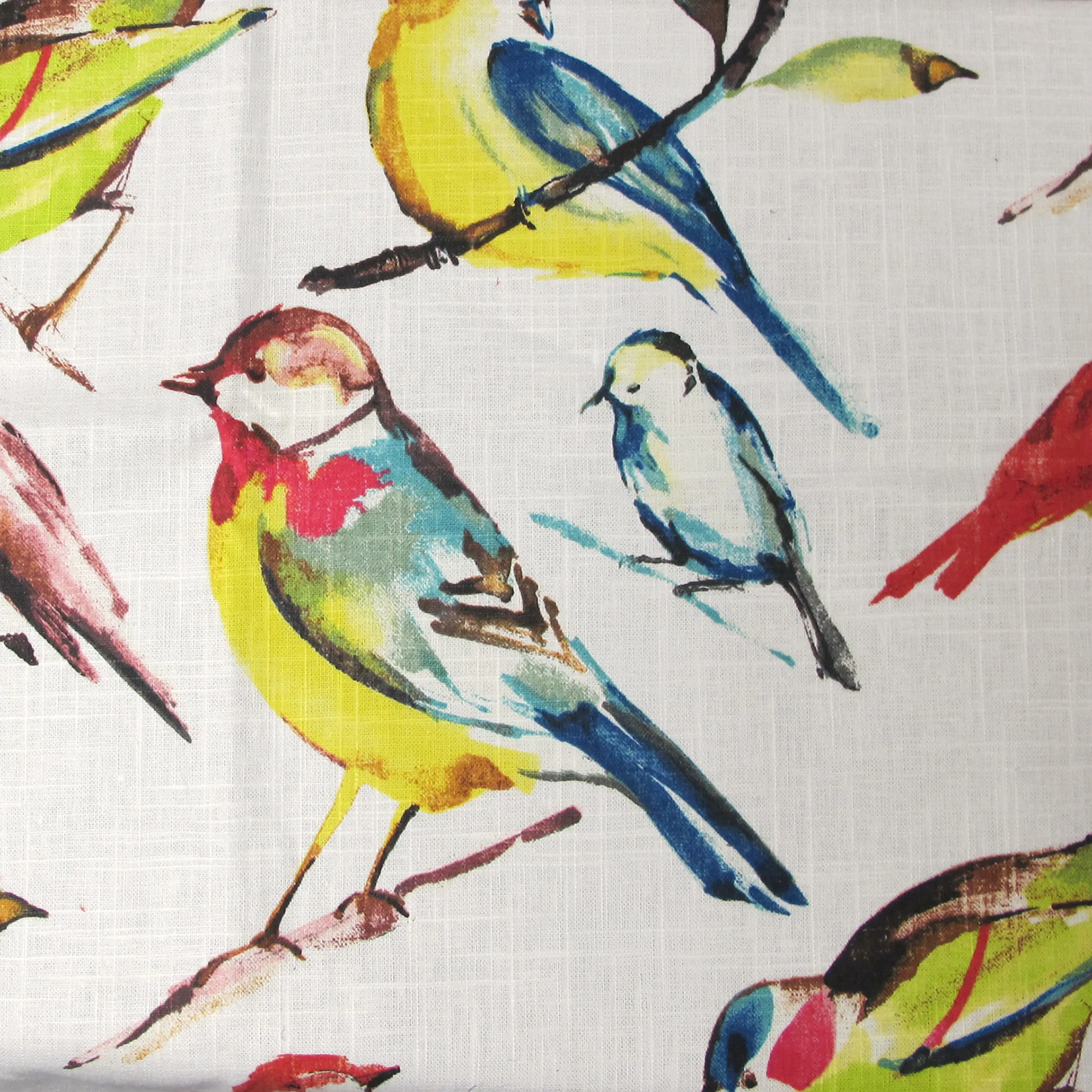 63-6BRDSMR Summer Bird Dining Chair-6