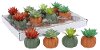 Assorted Faux Succulent Arrangement in Resin Pumpkin