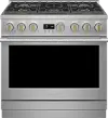 ZDP366NTSS Monogram Professional 5.75 cu ft Dual Fuel Range - Stainless Steel 36 Inch