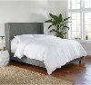 432BEDZMCHR Queen Charcoal Square Bed Frame- Zuma