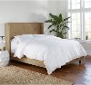 432BEDZMLNN Queen Linen Square Bed Frame- Zuma